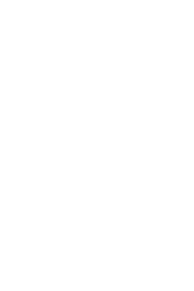 Skeleton